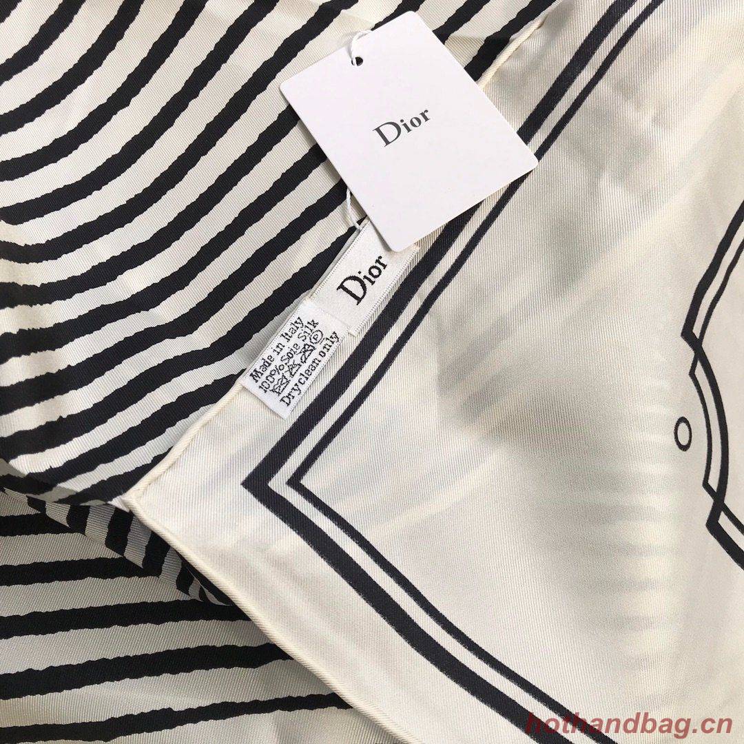 Dior Scarf DIC00073