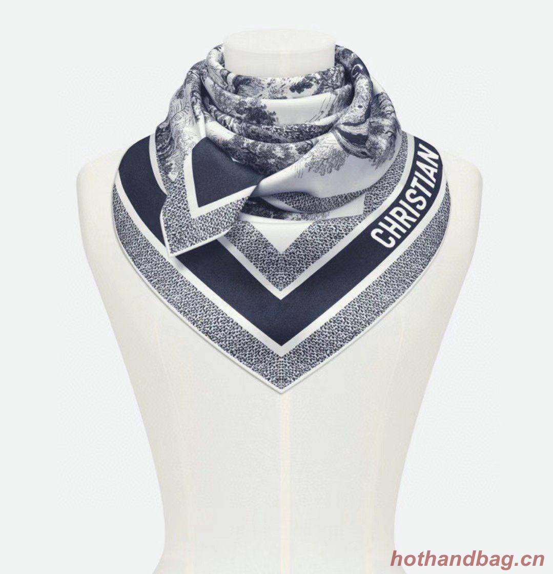 Dior Scarf DIC00075