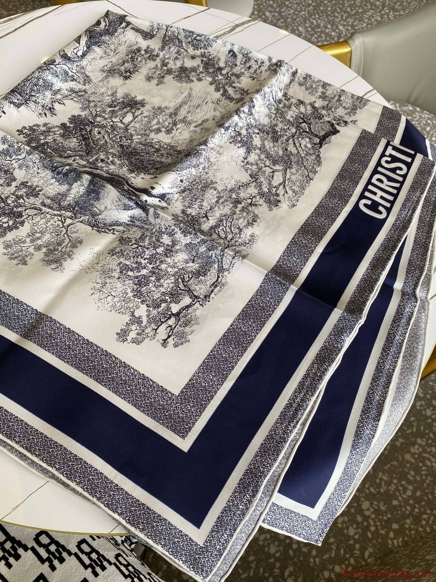 Dior Scarf DIC00075