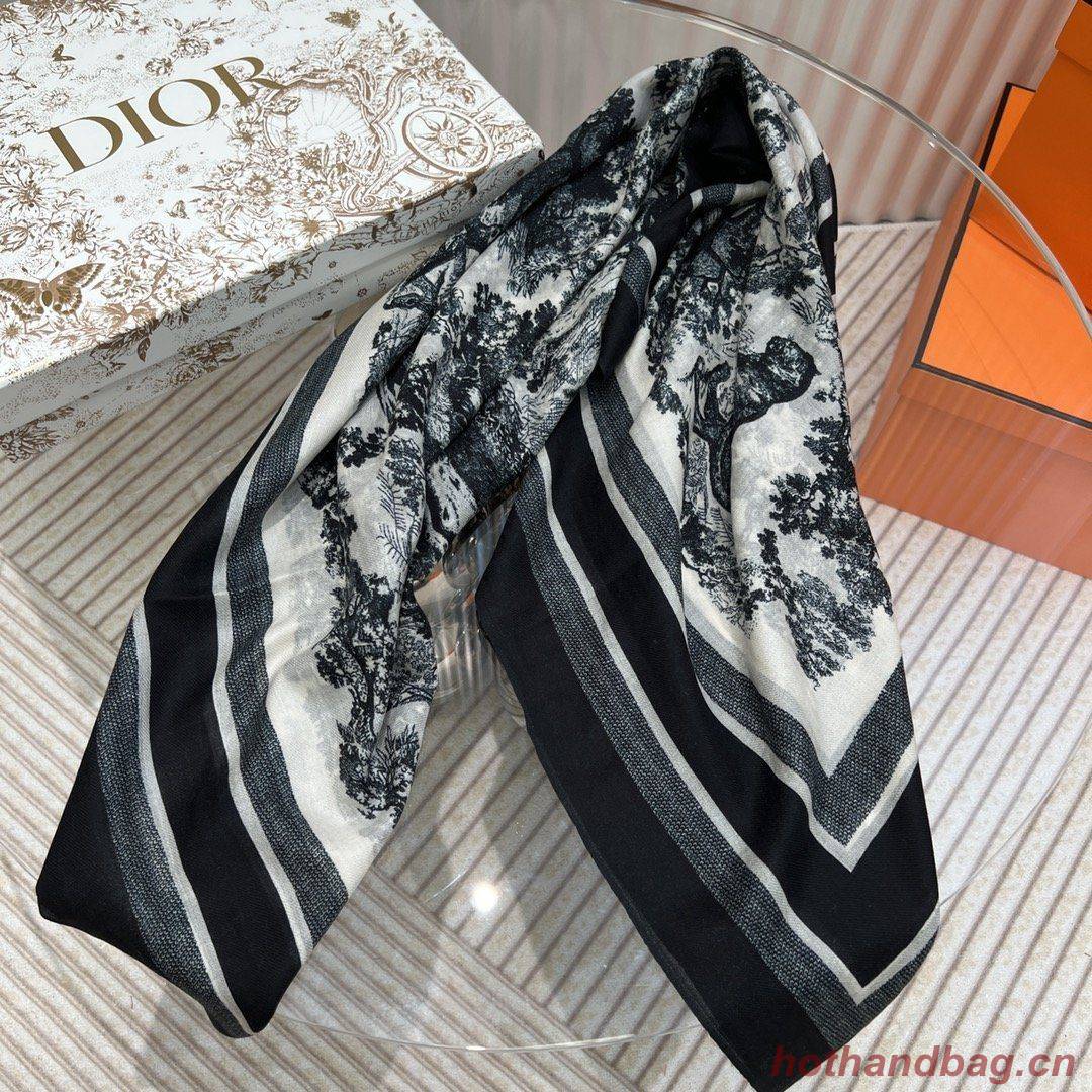 Dior Scarf DIC00078