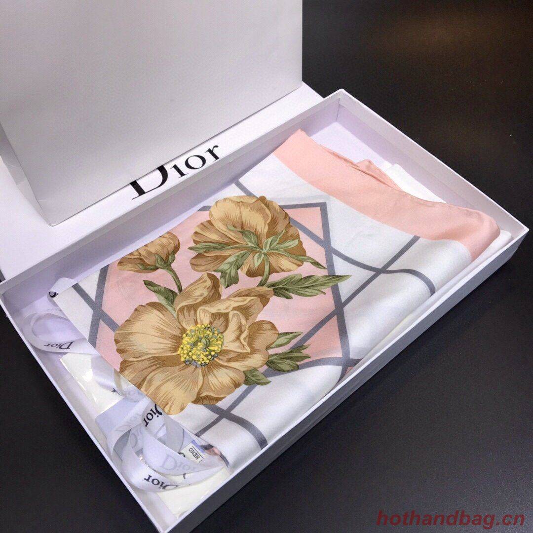 Dior Scarf DIC00086