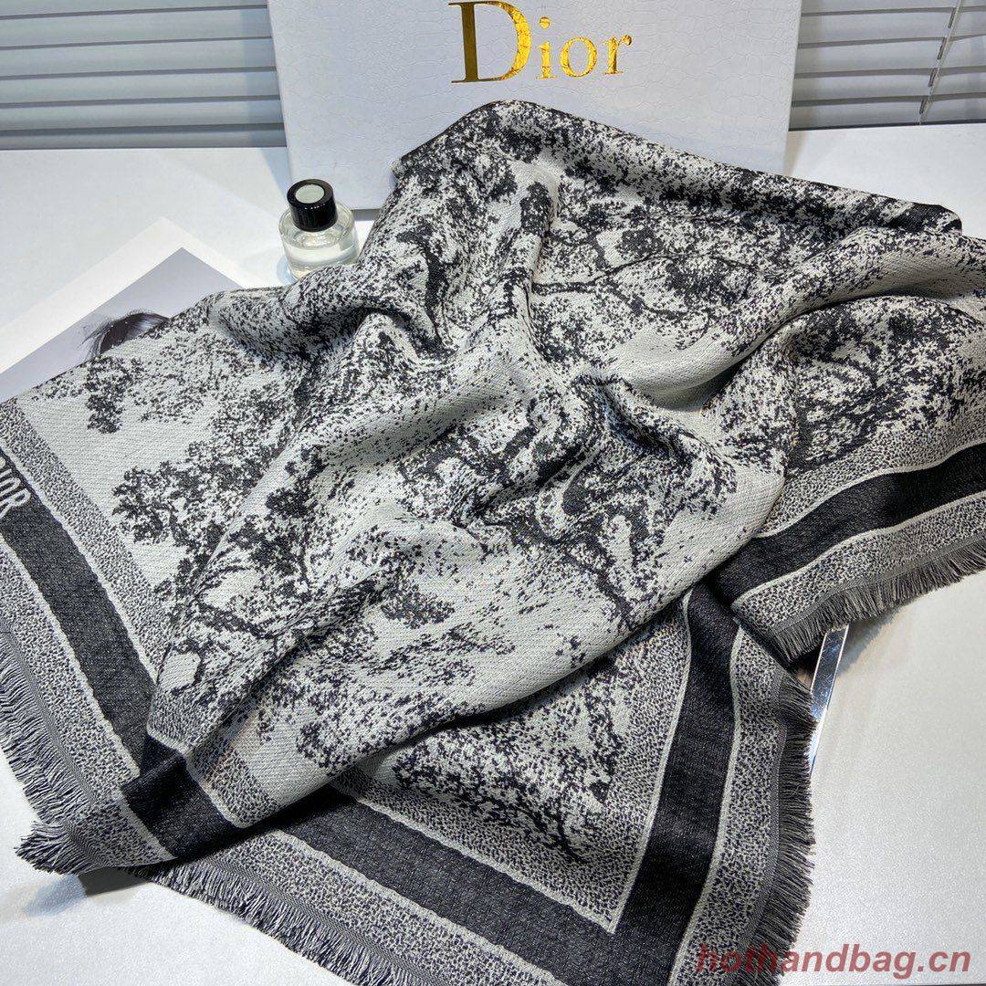 Dior Scarf DIC00116