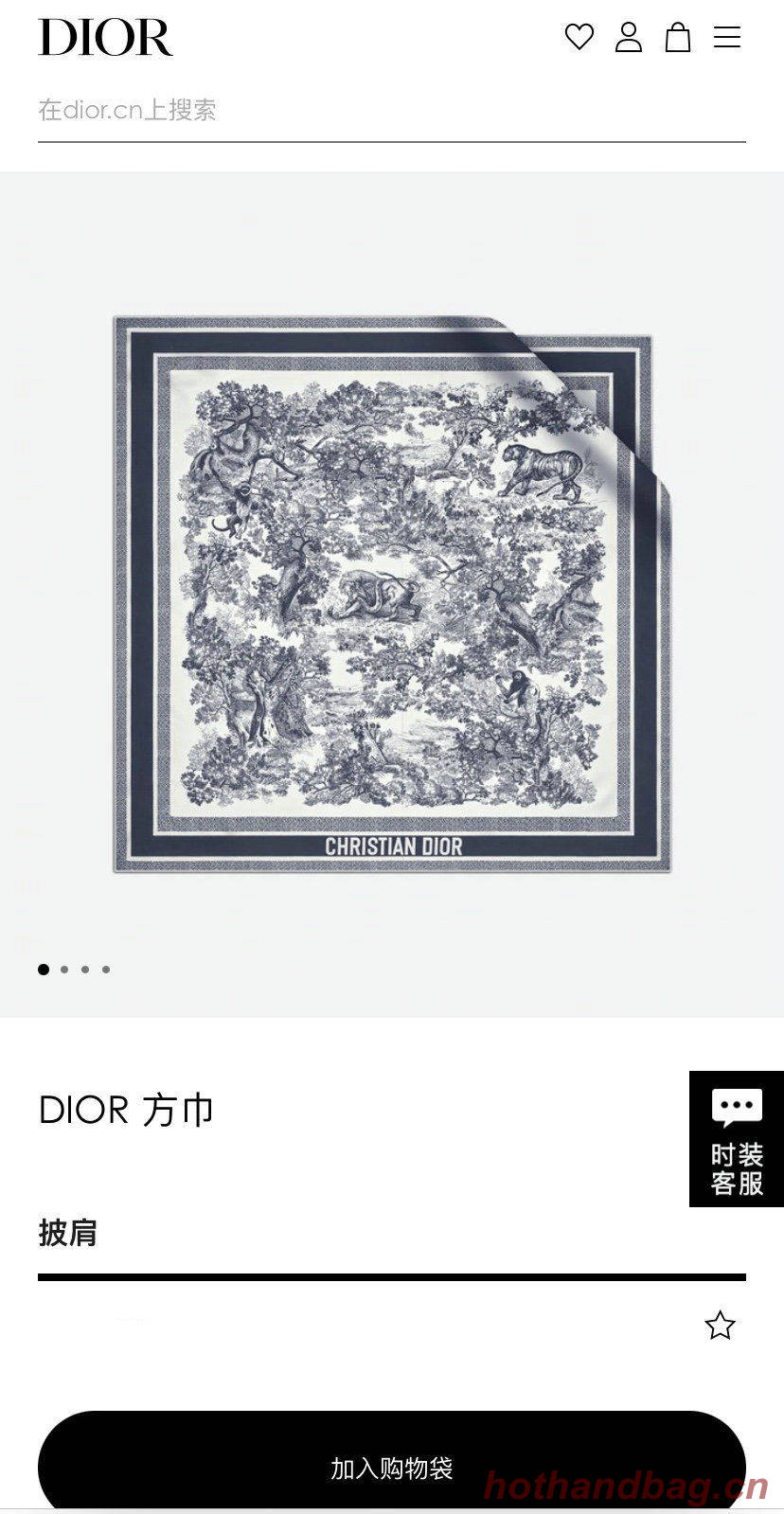 Dior Scarf DIC00127