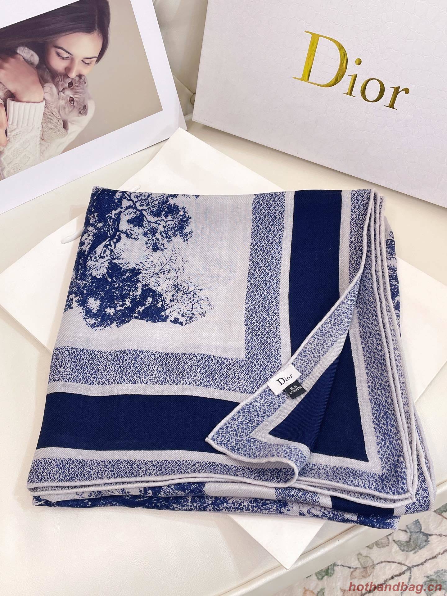 Dior Scarf DIC00127