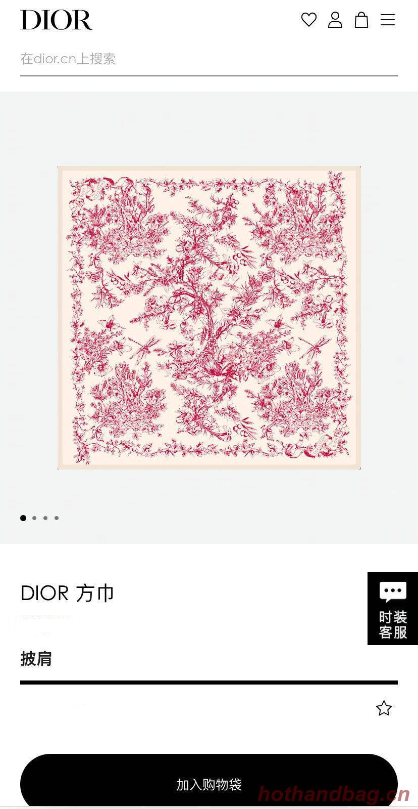 Dior Scarf DIC00134