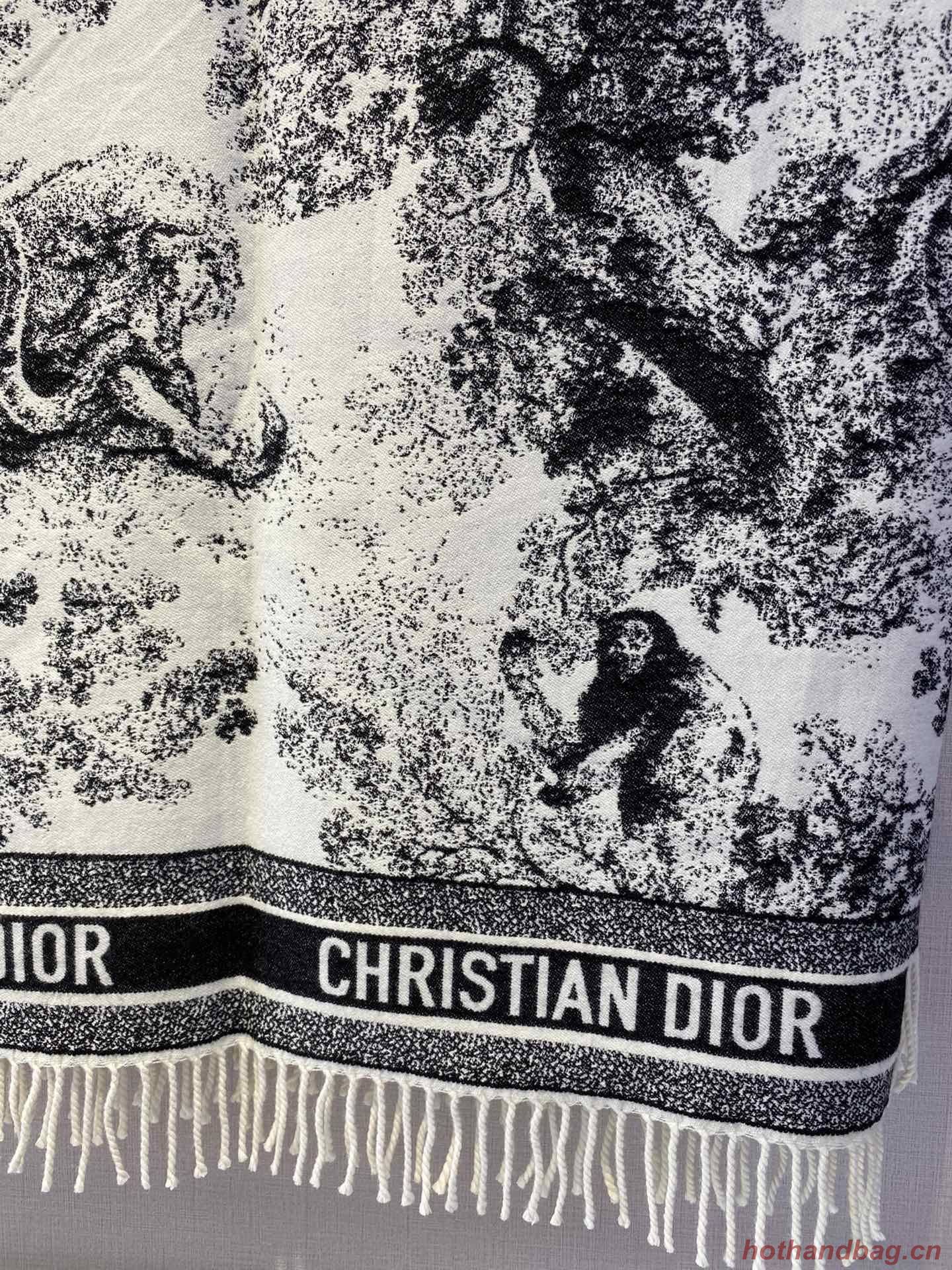 Dior Scarf DIC00139