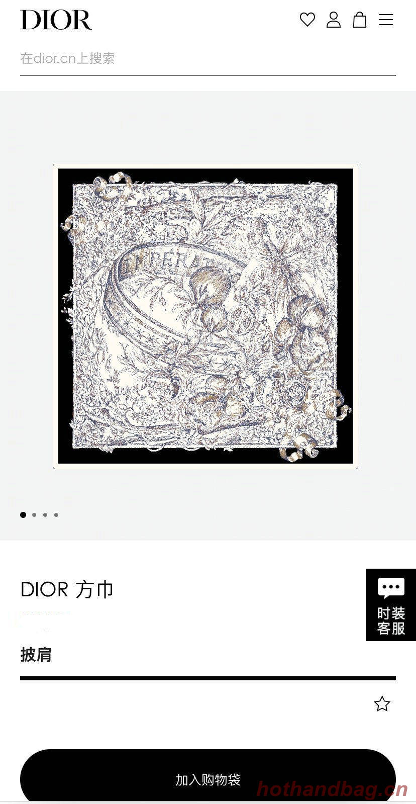 Dior Scarf DIC00145