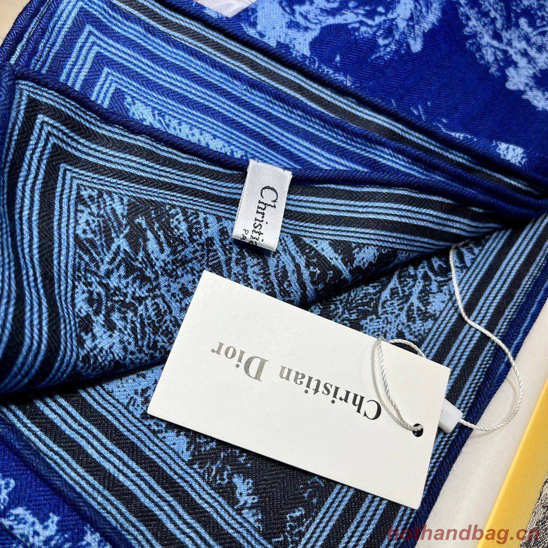 Dior Scarf DIC00146