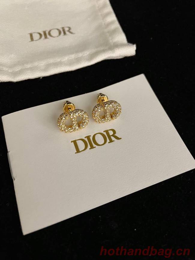 Dior Earrings CE9443