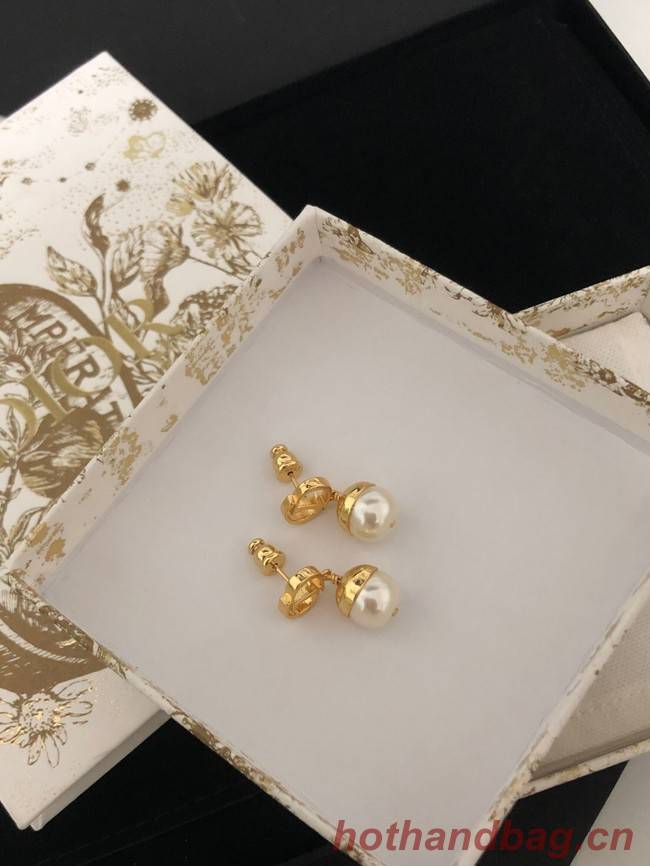 Dior Earrings CE9446