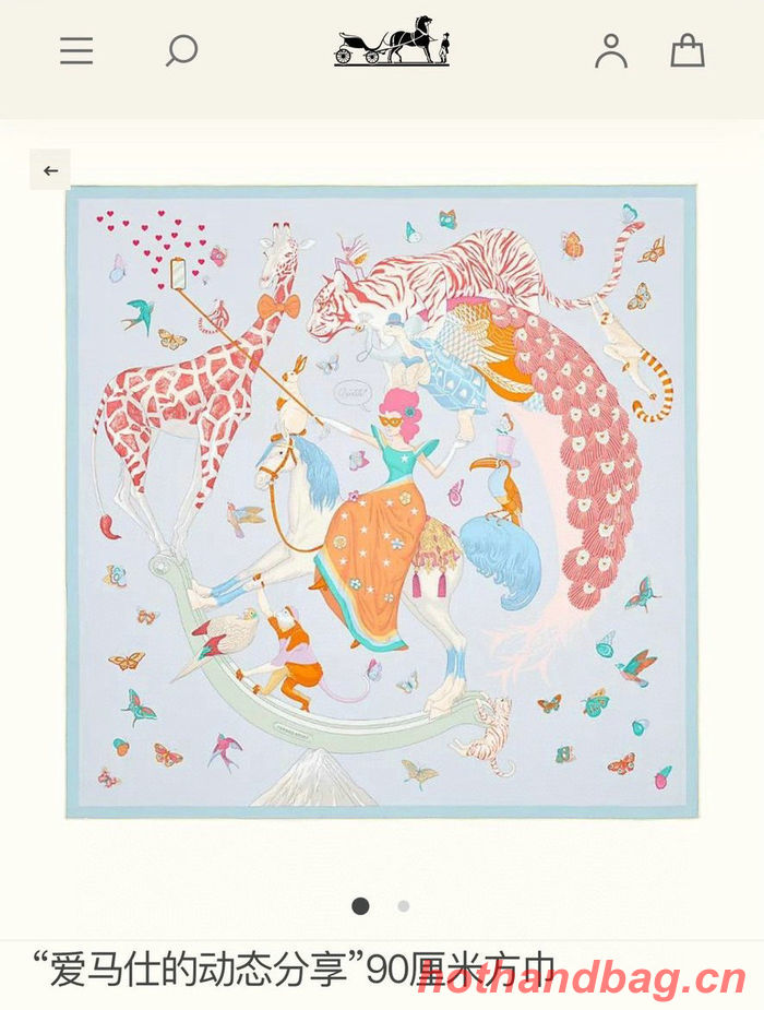 Hermes Scarf HEC00158