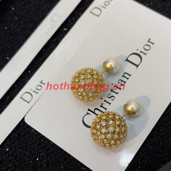 Dior Earrings CE9495