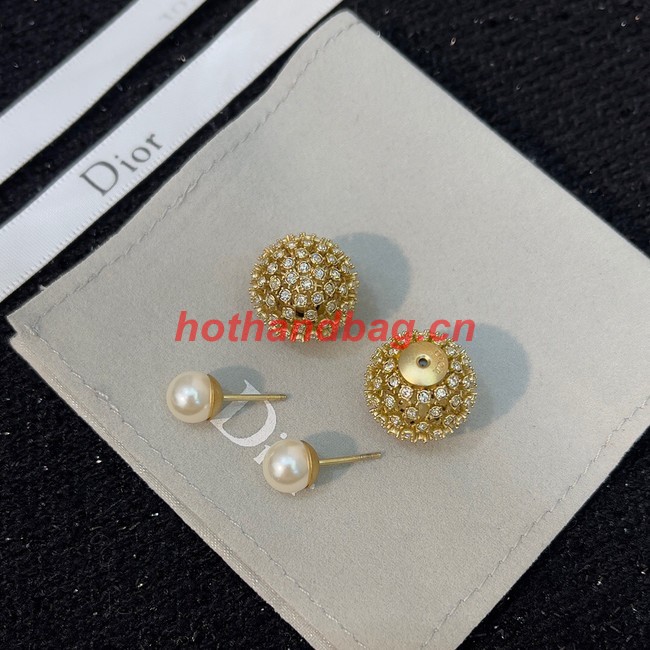 Dior Earrings CE9495