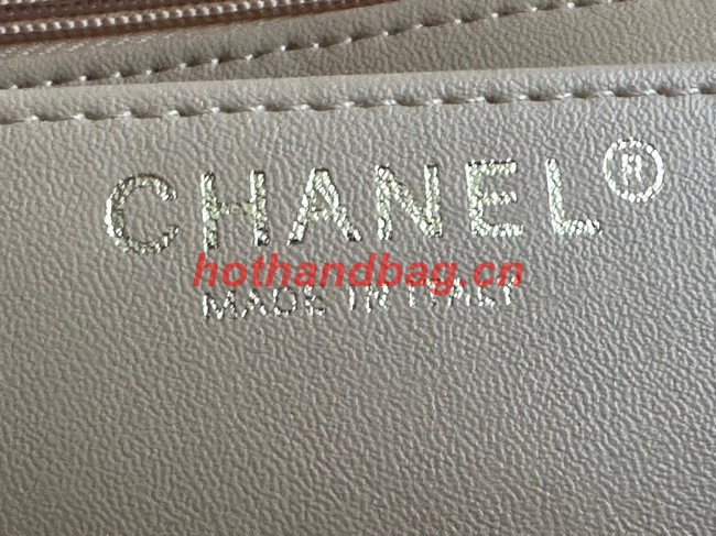 Chanel CLASSIC HANDBAG A01116-1