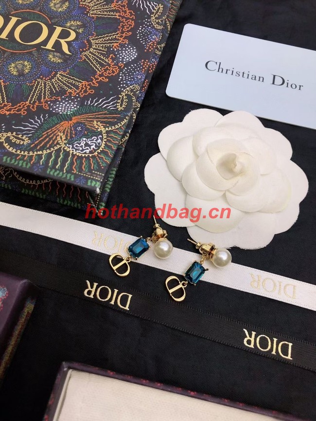 Dior Earrings CE9674