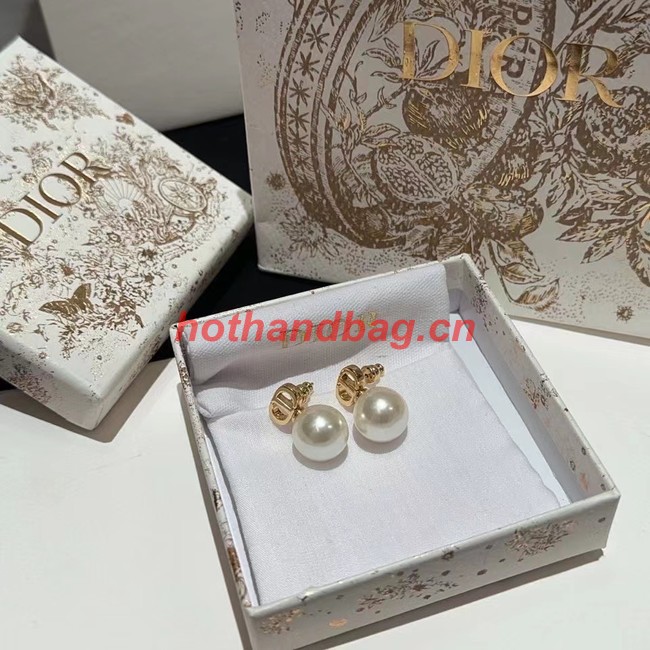 Dior Earrings CE9869