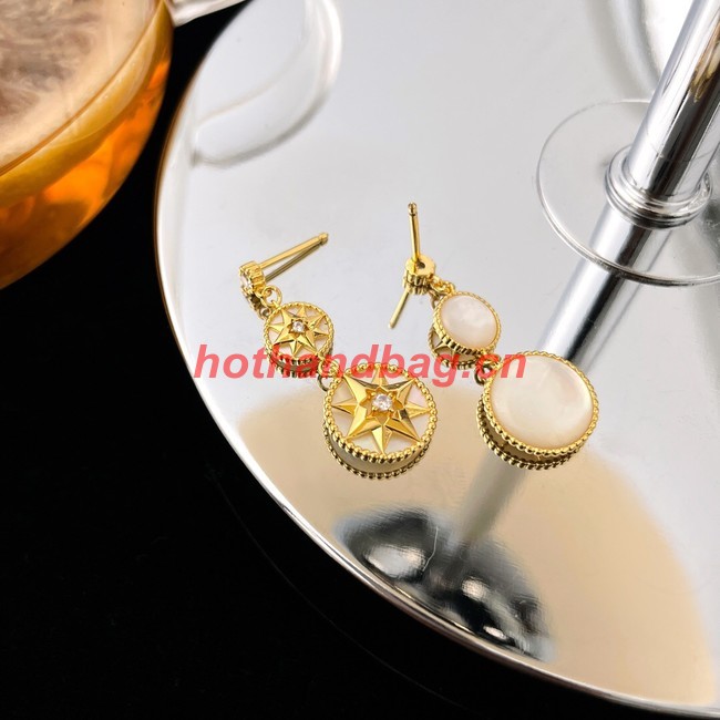 Dior Earrings CE9912