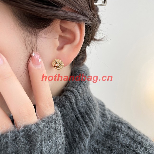 Dior Earrings CE9913