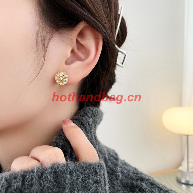 Dior Earrings CE9913