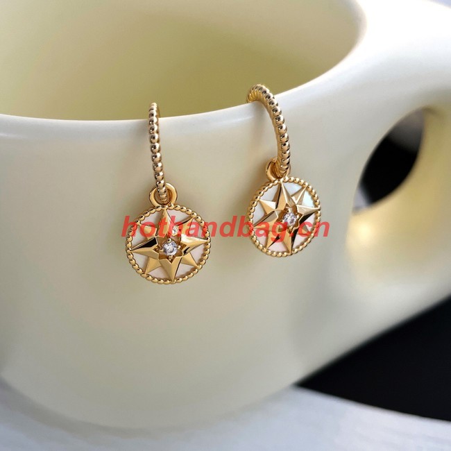 Dior Earrings CE9914