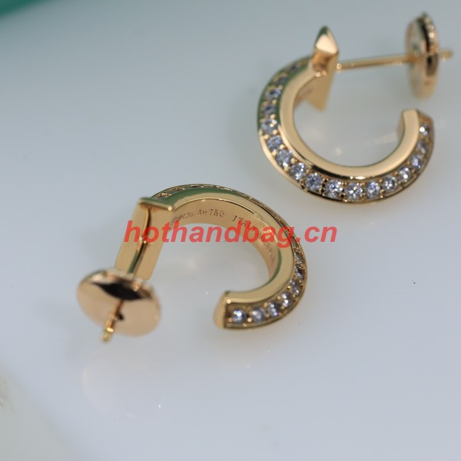 TIFFANY Earrings CE9918