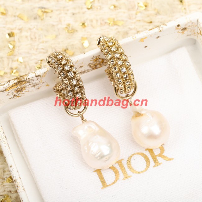 Dior Earrings CE9955