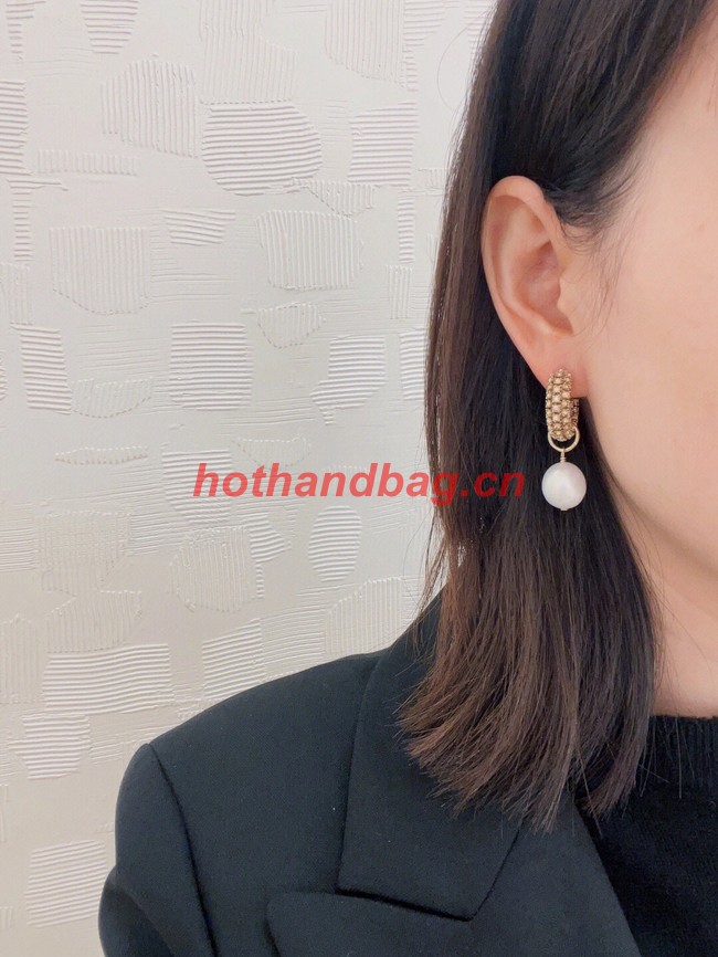 Dior Earrings CE9955