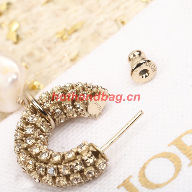 Dior Earrings CE9955