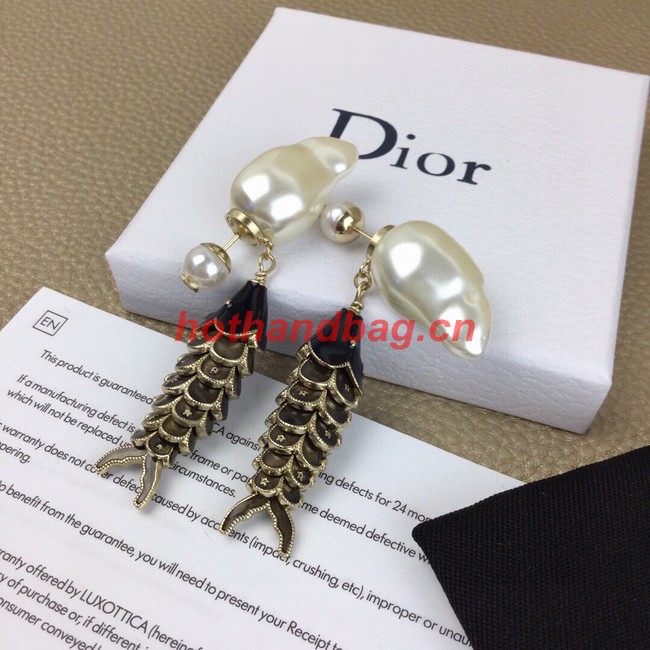 Dior Earrings CE9971