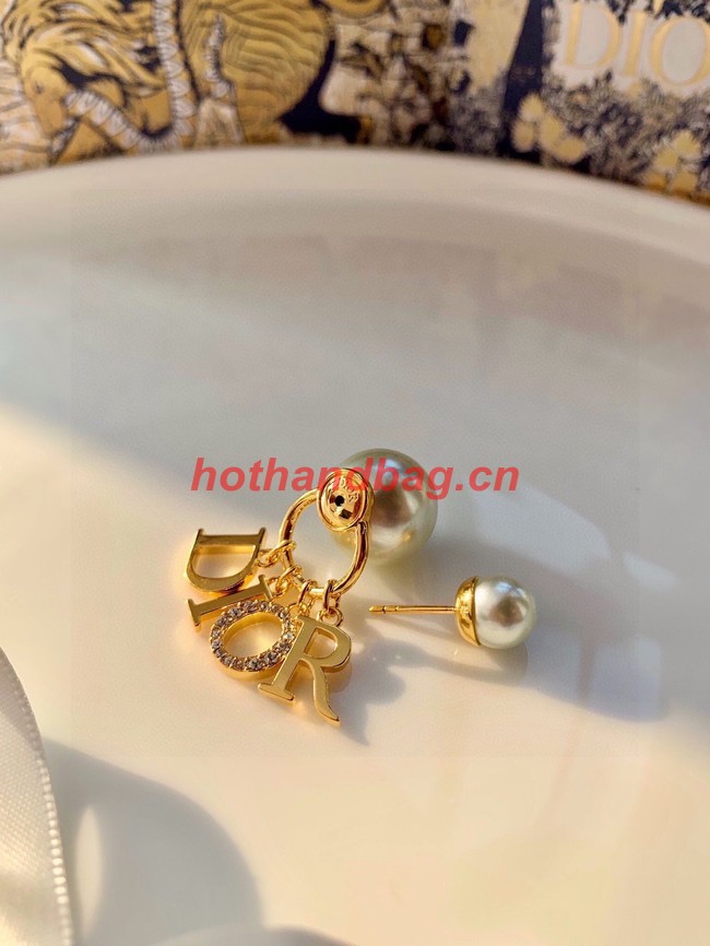 Dior Earrings CE10071