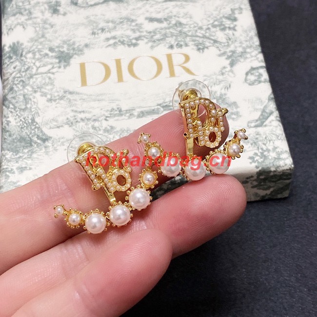 Dior Earrings CE10122