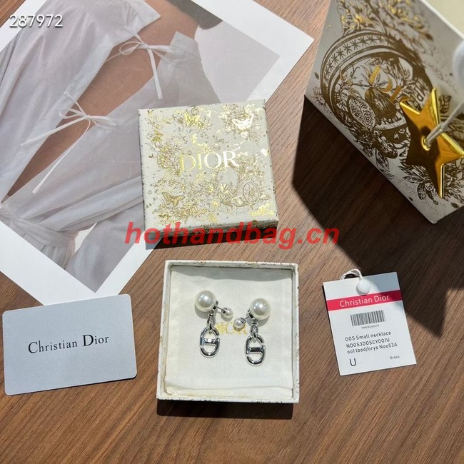 Dior Earrings CE10142