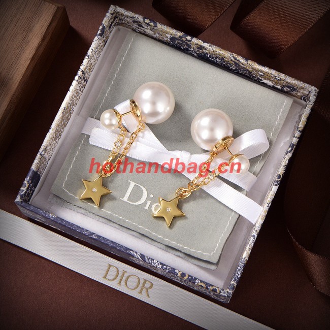 Dior Earrings CE10148