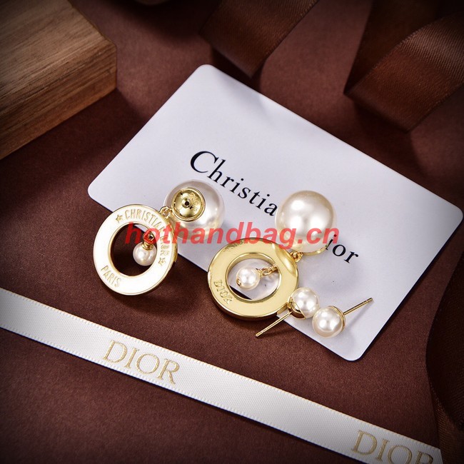 Dior Earrings CE10149