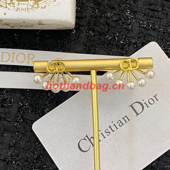 Dior Earrings CE10205