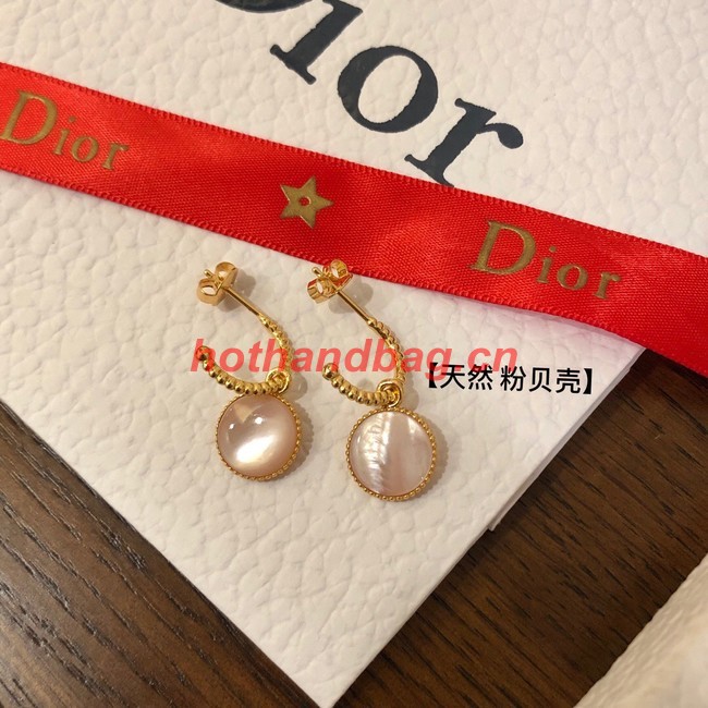 Dior Earrings CE10248