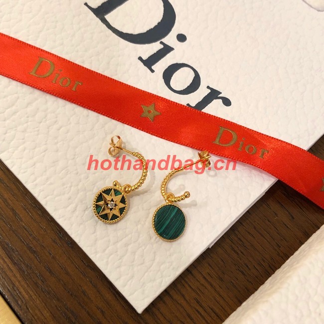 Dior Earrings CE10248