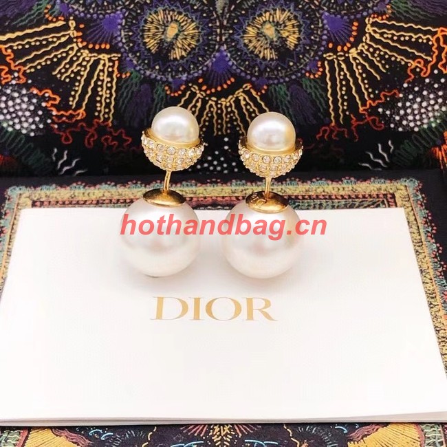 Dior Earrings CE10312