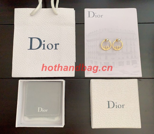 Dior Earrings CE10347