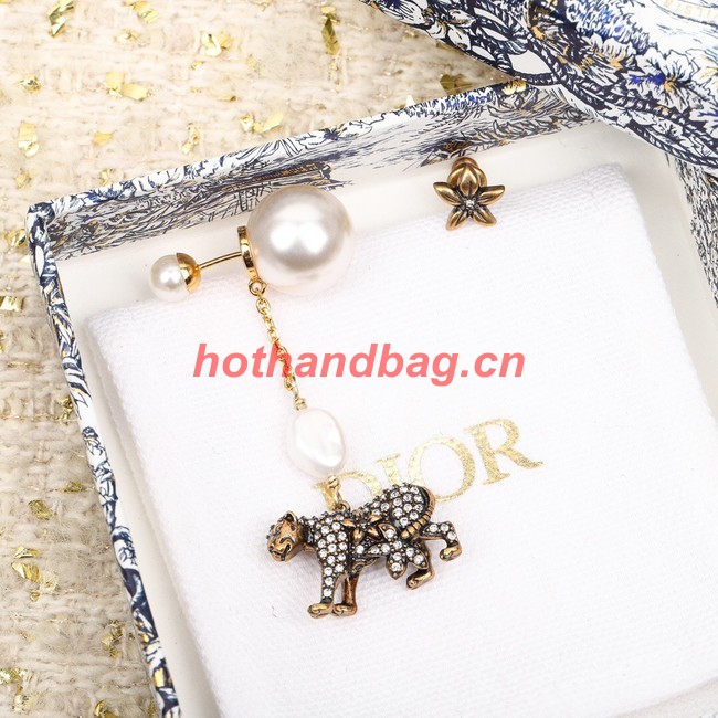 Dior Earrings CE10359