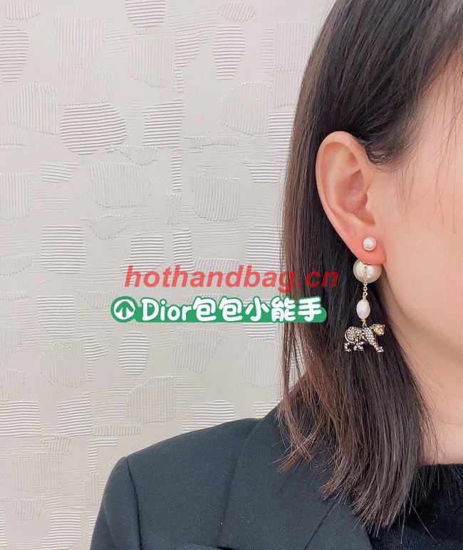 Dior Earrings CE10359