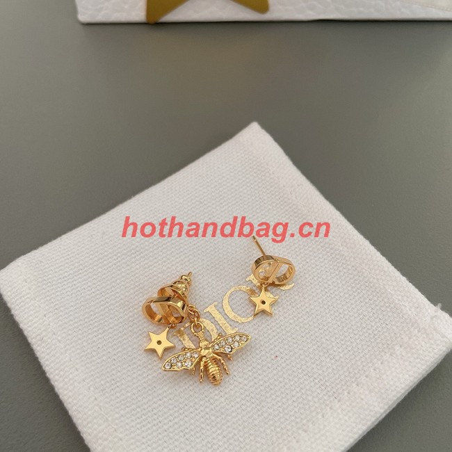 Dior Earrings CE10370