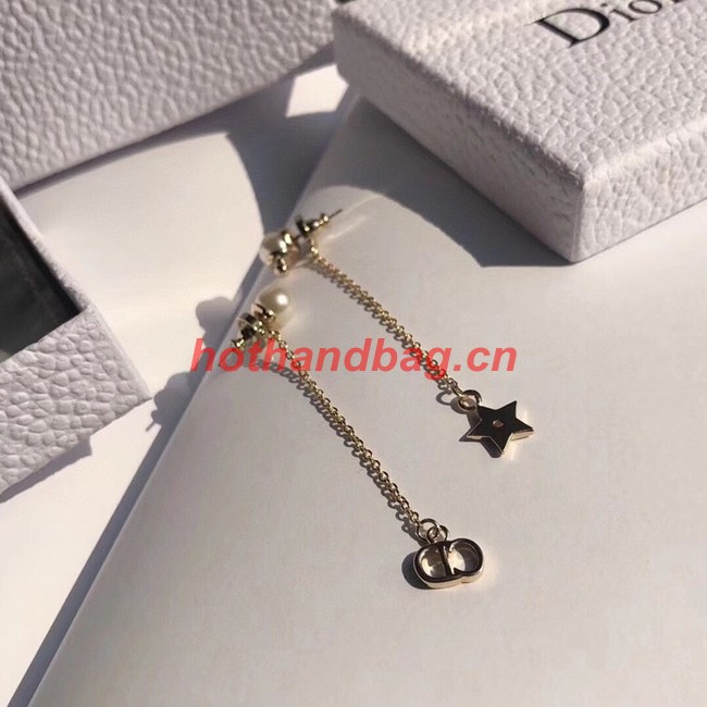 Dior Earrings CE10640