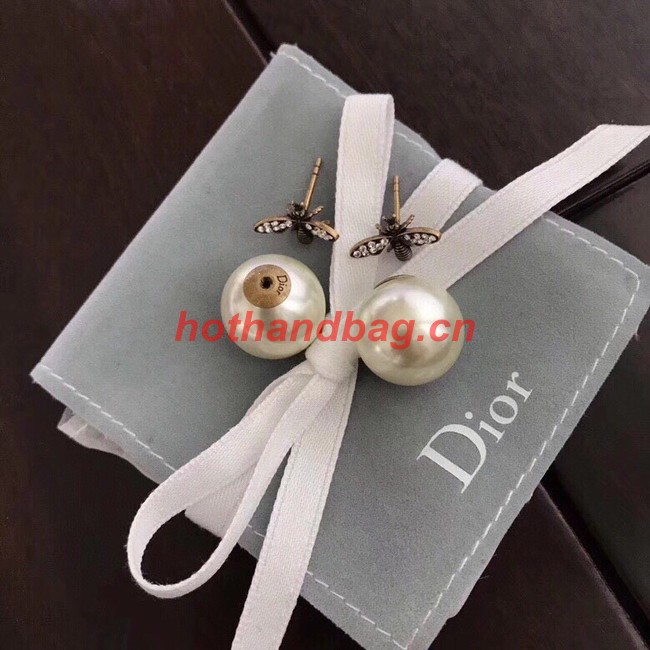 Dior Earrings CE10657