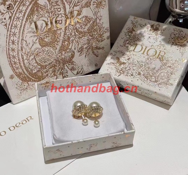 Dior Earrings CE10772