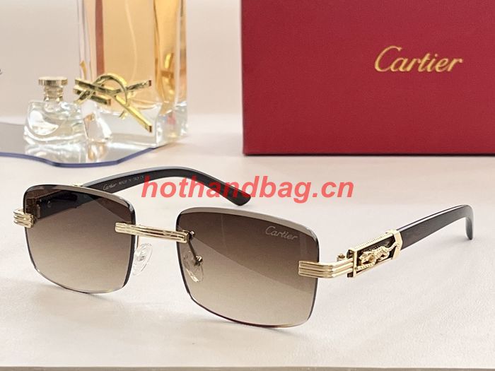 Cartier Sunglasses Top Quality CAS00387
