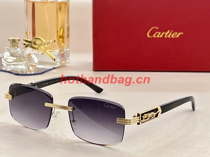 Cartier Sunglasses Top Quality CAS00392
