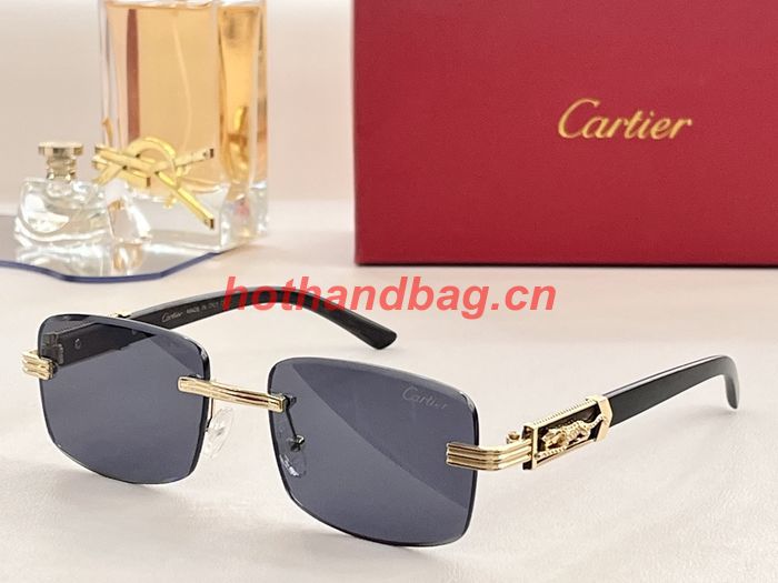 Cartier Sunglasses Top Quality CAS00393