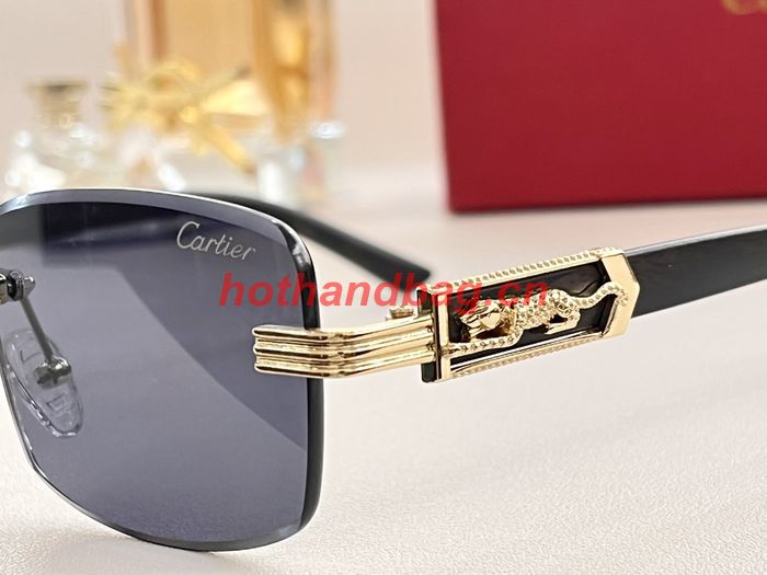 Cartier Sunglasses Top Quality CAS00394