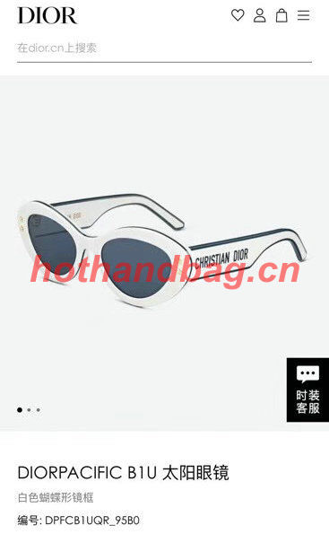 Dior Sunglasses Top Quality DIS01071